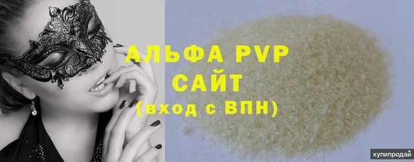 ГАЛЛЮЦИНОГЕННЫЕ ГРИБЫ Верея