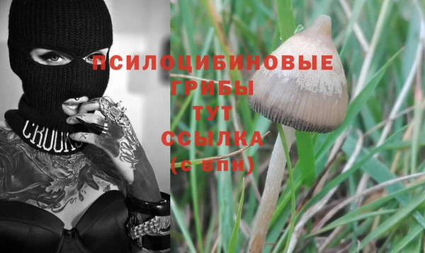 ешки Наволоки