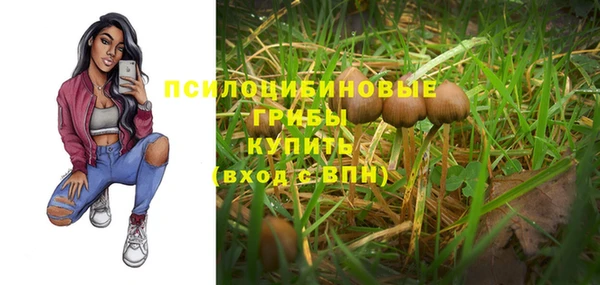 таблы Надым